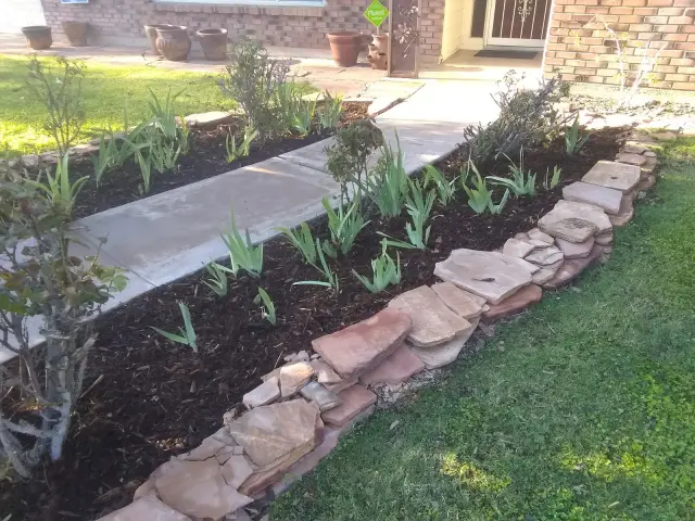 Freshly planted bed edged with flagstone and topped with dark mulch