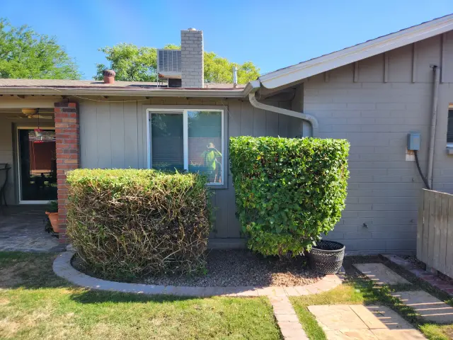 Side of a house with squared-off hedges and a paver path