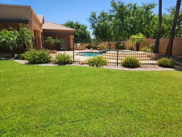 Large green back lawn with shrub beds and a pool fence behind