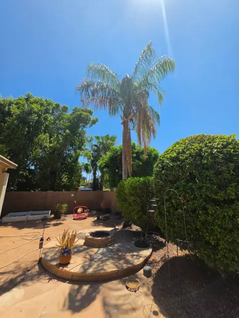 Back yard with a fire feature, seating and mature planting