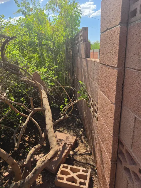 Cut branches stacked by a block wall ready to be hauled out
